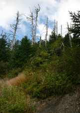 Enlarge photo 523