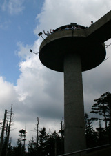 Enlarge photo 526