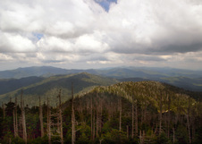 Enlarge photo 527