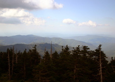 Enlarge photo 529