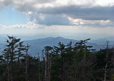Enlarge photo 530