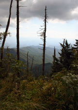 Enlarge photo 536