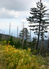 Enlarge photo 538