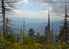 Enlarge photo 539