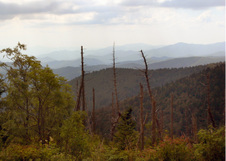 Enlarge photo 543