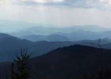 Enlarge photo 544