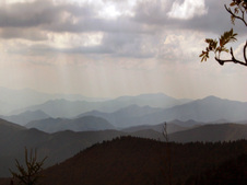 Enlarge photo 545