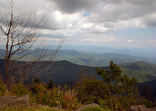 Enlarge photo 547