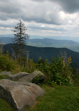 Enlarge photo 548