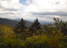 Enlarge photo 549