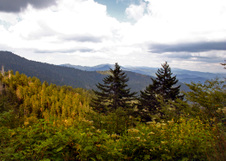 Enlarge photo 550
