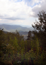 Enlarge photo 551