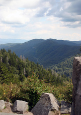 Enlarge photo 435