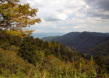 Enlarge photo 436