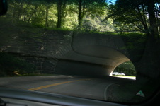 Enlarge photo 438