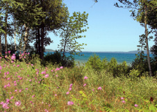 Sleeping Bear Dunes w Jim & Carol
