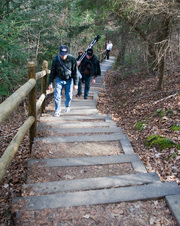 Enlarge photo 11