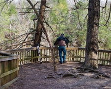 Enlarge photo 13