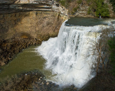 Enlarge photo 16