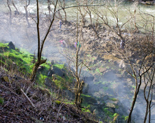 Enlarge photo 20
