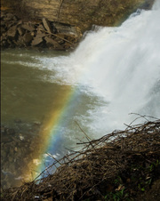 Enlarge photo 22