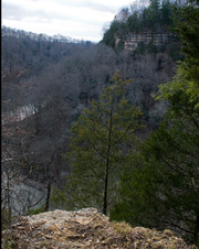 Enlarge photo 28