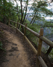 Enlarge photo 29