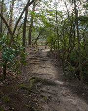 Enlarge photo 30