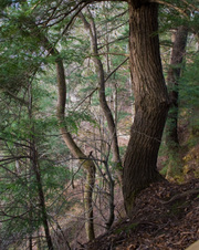 Enlarge photo 31