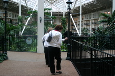 Enlarge photo 29