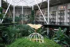 Enlarge photo 30