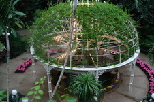 Enlarge photo 35