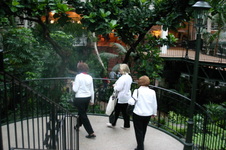 Enlarge photo 37