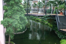 Enlarge photo 41