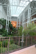 Enlarge photo 45