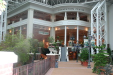 Enlarge photo 46