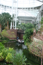 Enlarge photo 49