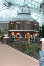 Enlarge photo 51