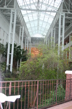 Enlarge photo 52