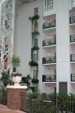 Enlarge photo 53