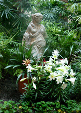 Enlarge photo 59