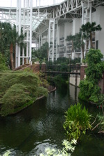Enlarge photo 61