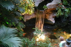 Enlarge photo 68