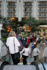 Enlarge photo 69