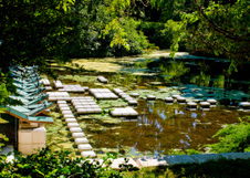 The Dow House & Botanic Gardens w Cheryl