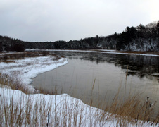 Enlarge photo 2