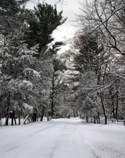 Enlarge photo 5