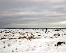 Enlarge photo 29