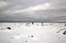 Enlarge photo 31