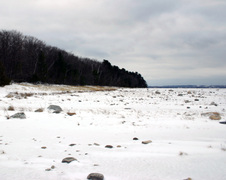 Enlarge photo 32